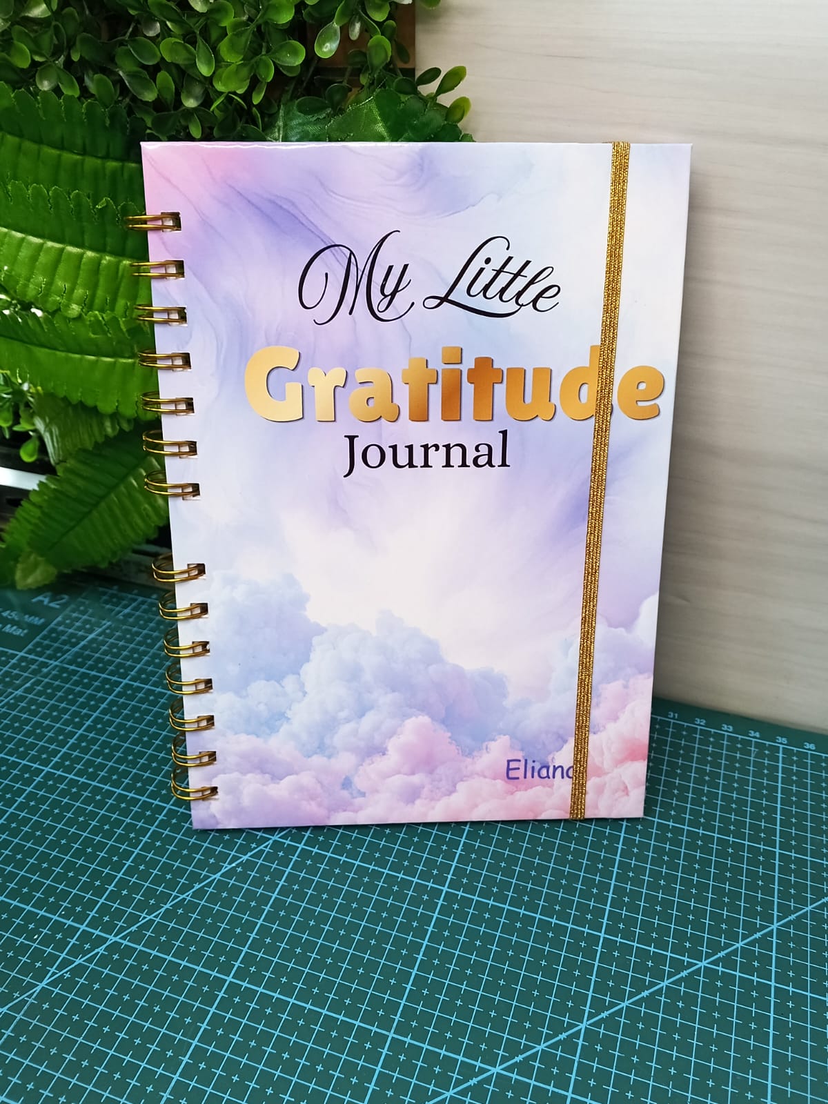 Gratitude Journal